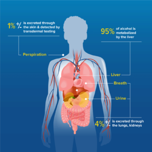 Transdermal Alcohol Testing - SCRAM Systems